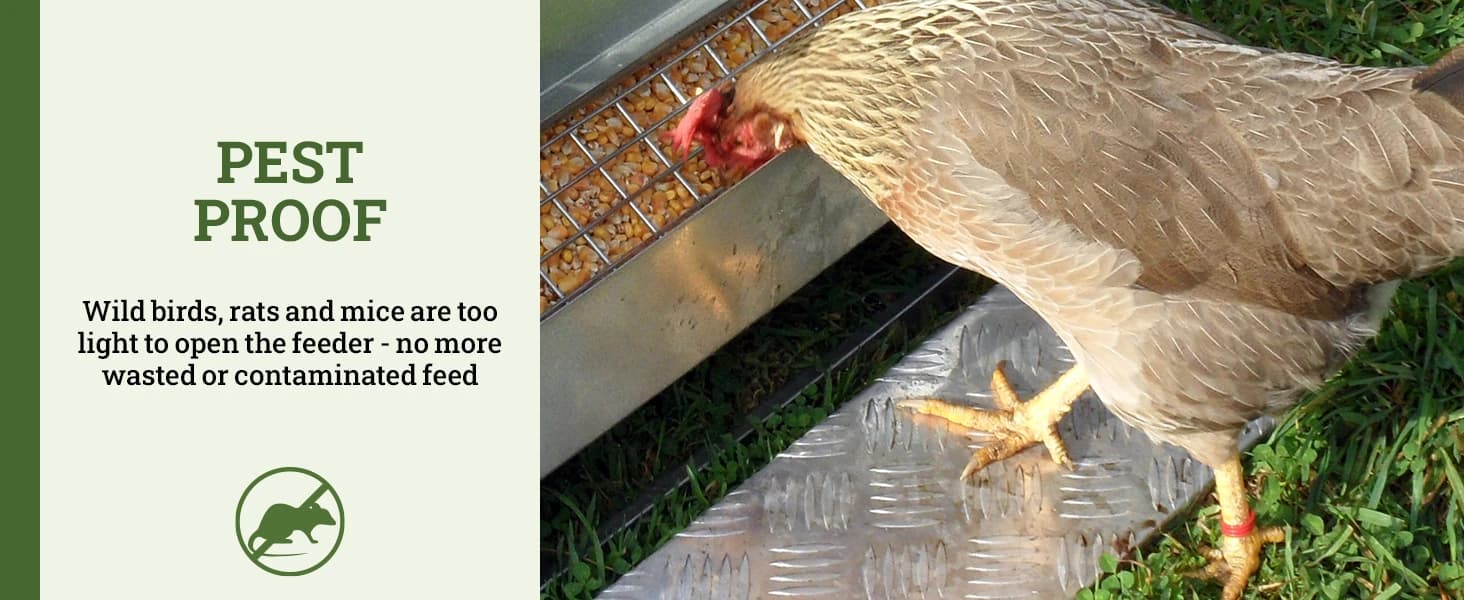 Grandpas Feeders Automatic Chicken Feeder - 20 lbs No Waste Poultry Feeder — collection imagery