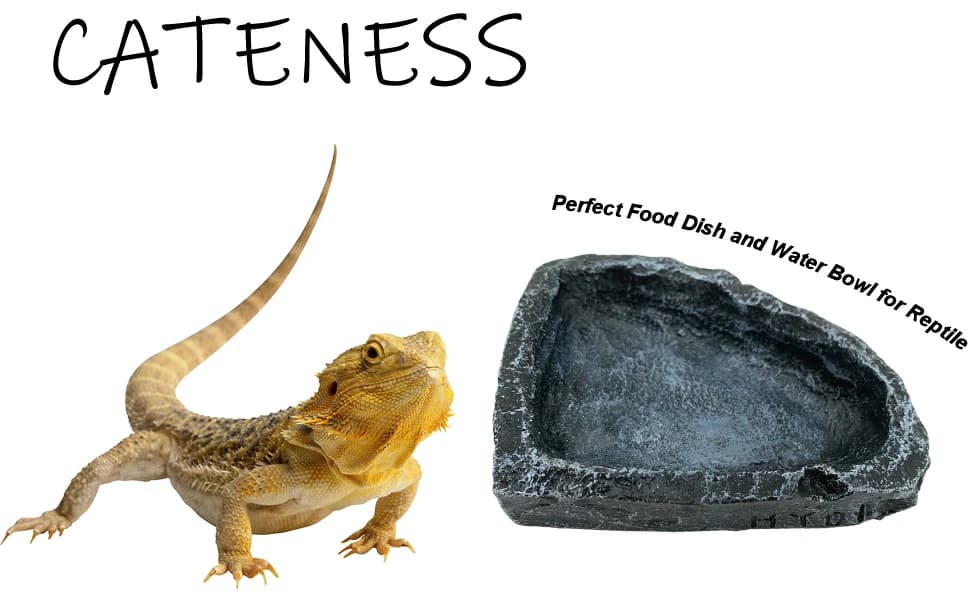 2 Pack Reptile Feeding Dish Corner Bowl — Reptile Water Dish Food Bowl Feeding Terrarium Bowls for Bearded — product details