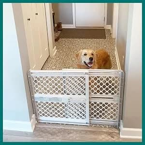 Universal Pet Gate: 26” - 42” Wide Dog Gate for Doorways with Pressure Fit or Swinging Door Hardware Mounting — collection imagery