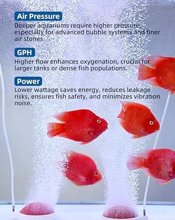 Aquarium Chiller Fan — Fish Tank Cooler with Temperature Control — collection imagery