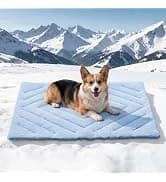 2 Packs Car Door Protector for Dogs — collection imagery