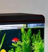 Reptile Fogger Humidifier — Automatic Humidifiers for Reptiles Tank — collection imagery