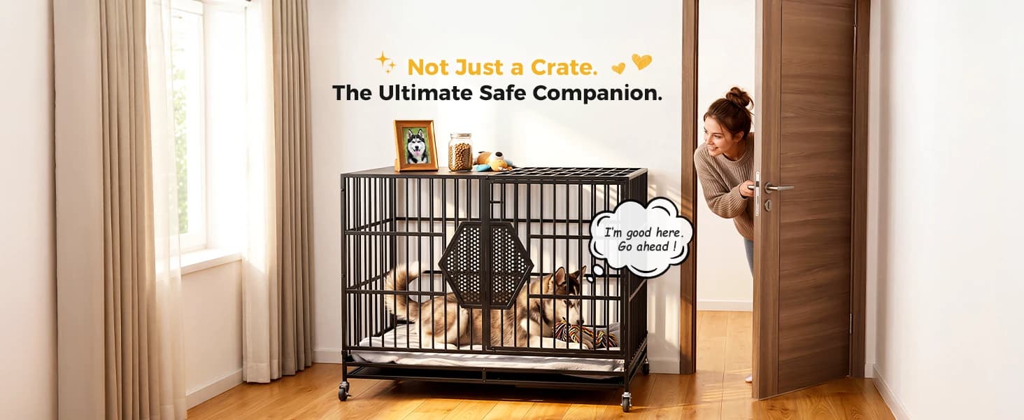 48'' Heavy Duty Dog Crates for Large Dogs — collection imagery