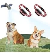 GPS Wireless Dog Fence — No Subscription Dog Collar for Dogs 15Lbs+ — collection imagery