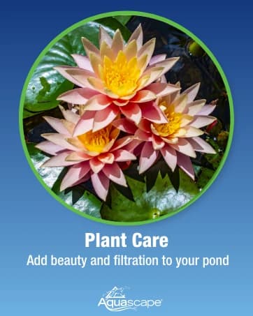 75000 Pond Air 2 (Double Outlet Aeration Kit) — collection imagery