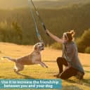 Flirt Pole for Dogs — Interactive Pole for Small