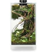 Aquarium and Terrarium Light Full Spectrum LED — collection imagery