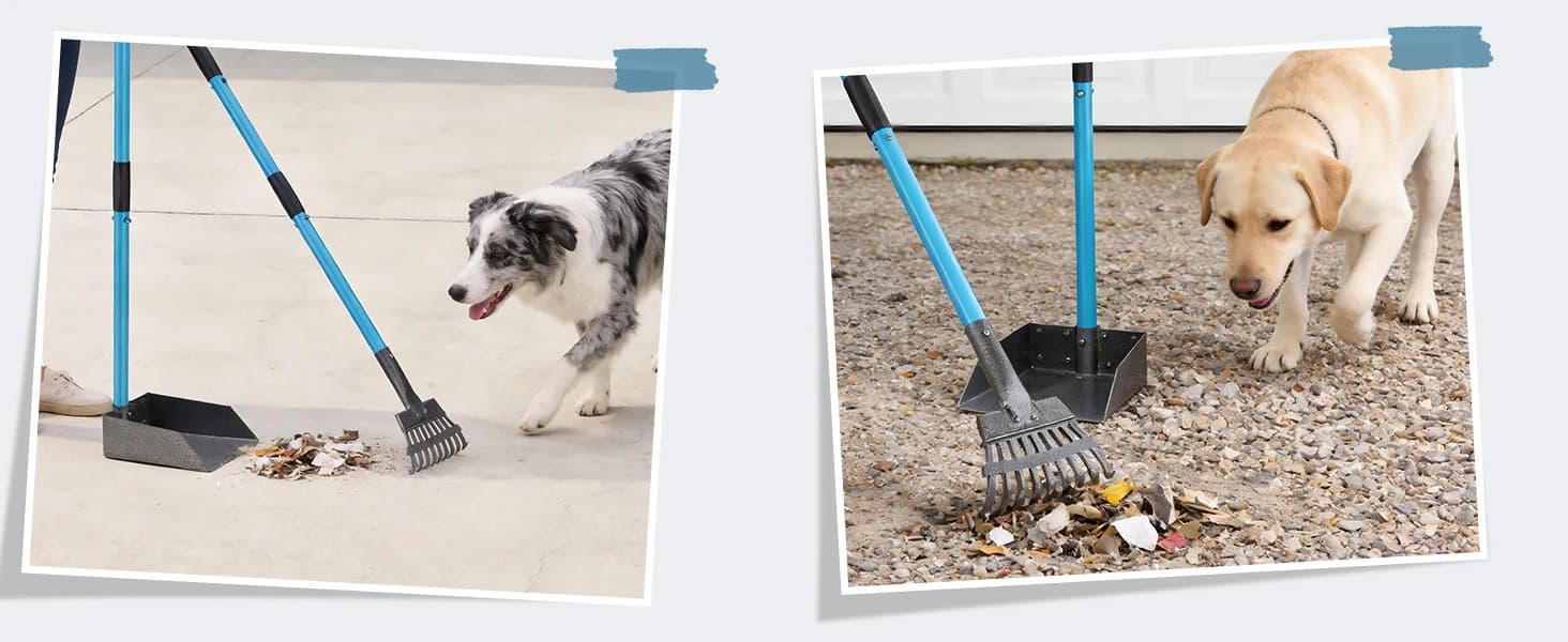 Dog Pooper Scooper — Stainless Metal Poop Scooper for Yard Long Handle — collection imagery