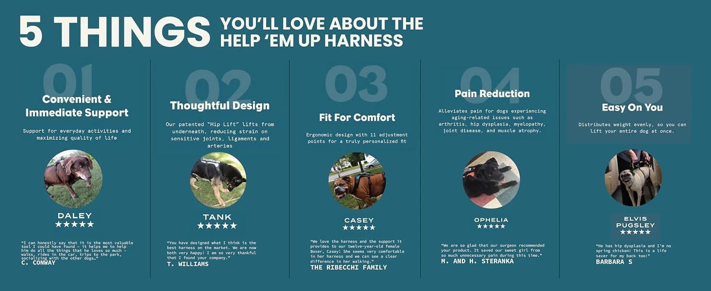 Dog Lift Harness — Full Support — product details