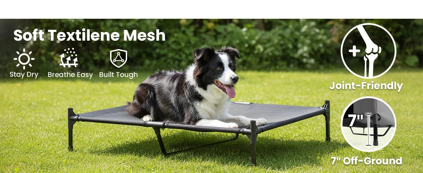 Large Dog House Outdoor — 36in Elevated 2-in-1 Cot and Canopy — collection imagery