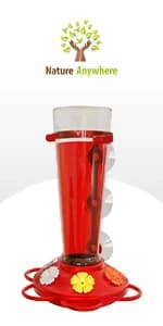 Window Bird Feeder with Strong Suction Cups — product details