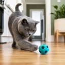 Sponge Soccer Ball Cat Toys for Cats and Kittens - Interactive and Colorful Plush Toy