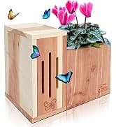 Squirrel-Proof Cedar Hopper Bird Feeder — collection imagery