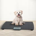 Precision Digital Pet Scale for Large Animals with Non-Skid Mat