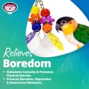 SB751 PVC Forager Bird Toy — Medium/Large Bird Size