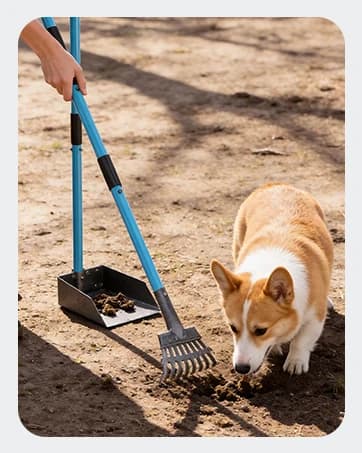 Dog Pooper Scooper — Stainless Metal Poop Scooper for Yard Long Handle — collection imagery