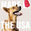 Flyer — Natural Rubber Flying Disc Fetch Toy