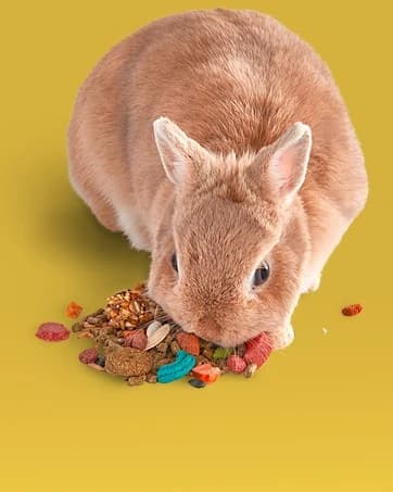 Wood Pellets Pet Bird and Small Animal Litter — collection imagery