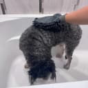 Clean Paws Chenille Microfiber Dog Towel Mitt - Super Absorbent