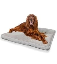 On-The-Go Travel Dog Bed — Portable Roll-Up Mat with Buckle — collection imagery