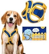 Professional Eye Comb for Pets — collection imagery