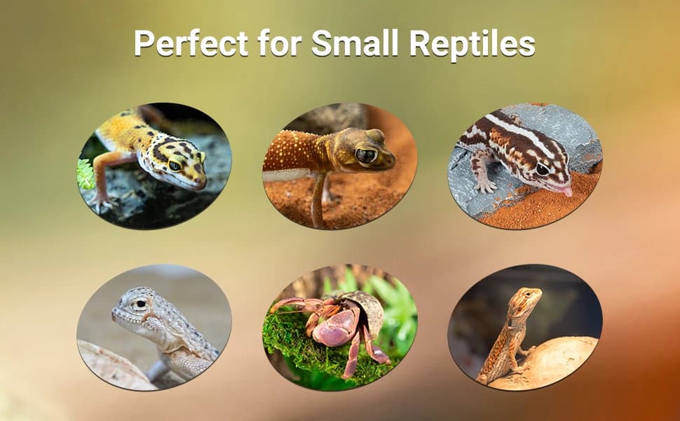 3 in 1 Reptile Hide Cave with Detachable Base and Humidity Dish — product details