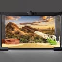 36x18 in Desert Reptile Habitat Backdrop — Oasis Cactus Terrarium Background
