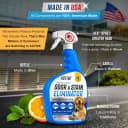 Pet Odor and Stain Eliminator - 32 oz Enzyme Cleaner for Dog & Cat Urine