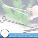 12" Stainless Steel Aquarium Scissors