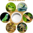 Reptile Food Dish Bowl — 2Pcs Lizard Gecko Worm Water Bowls Small (2.75in)