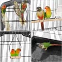 64-Inch Open Top Bird Cage for Parakeets and Cockatiels