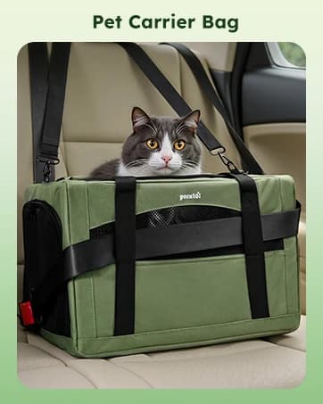 Raised Dog Bed with Cooling Mat — collection imagery