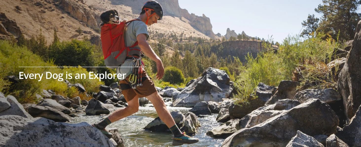 Hitch Hiker Dog Backpack Carrier — product details