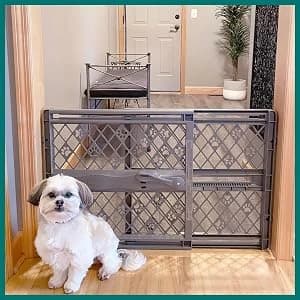 Paws Portable Pet Gate: 26-40" Wide Expandable — collection imagery