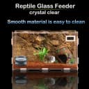4 Pcs Glass Reptile Feeding Bowl Food Water Dish Feeder Cup for Lizard Spider Corn Snake Centipede Scorpion