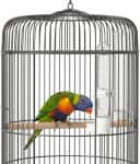 Automatic Bird Water Dispenser Cage Hanging Water Feeder with Anti-Spill Design for Parakeet Canary Small