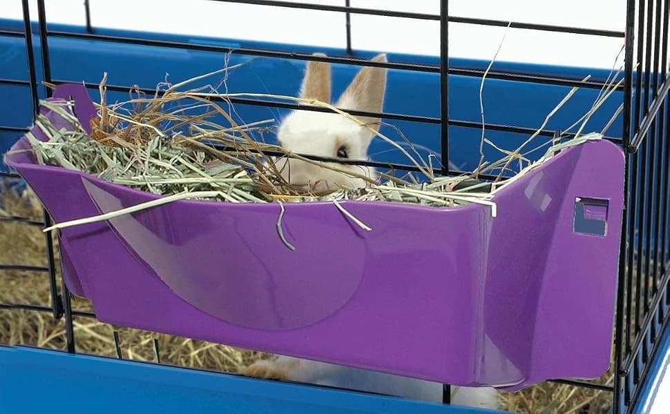 Reversible Waterer/Feeder for Rabbits and Other Small Animals. (Pack of 1),Purple — About Us