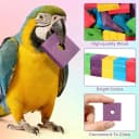Bird Toys: 100 Pcs Wooden Blocks