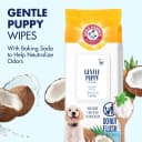 Puppy Grooming Wipes — Coconut Water