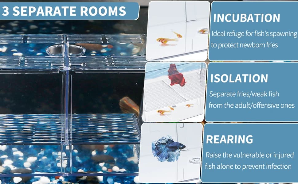 Aquarium Fish Breeding Box Acrylic Hatchery Incubator Tank with Suction Cups Medium Isolation Box for Baby Fish — product details