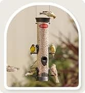 Metal Bird Feeders for Outdoors Hanging — collection imagery