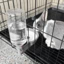 Gravity Pet Water Bowl — 16oz Anti-Splash Crate Dispenser