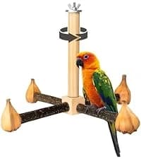 Parrot Chew Toy — Shreddable Cardboard Bird Platform — collection imagery