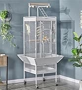 64-Inch Open Top Bird Cage for Parakeets and Cockatiels — collection imagery