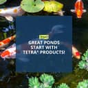 De-Icer — Winter Survival Solution for Fish