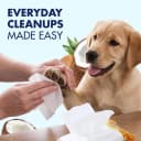 Puppy Grooming Wipes — Coconut Water