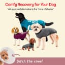 Dog Surgery Recovery Suit — Male Female After Spay Neuter Onesie