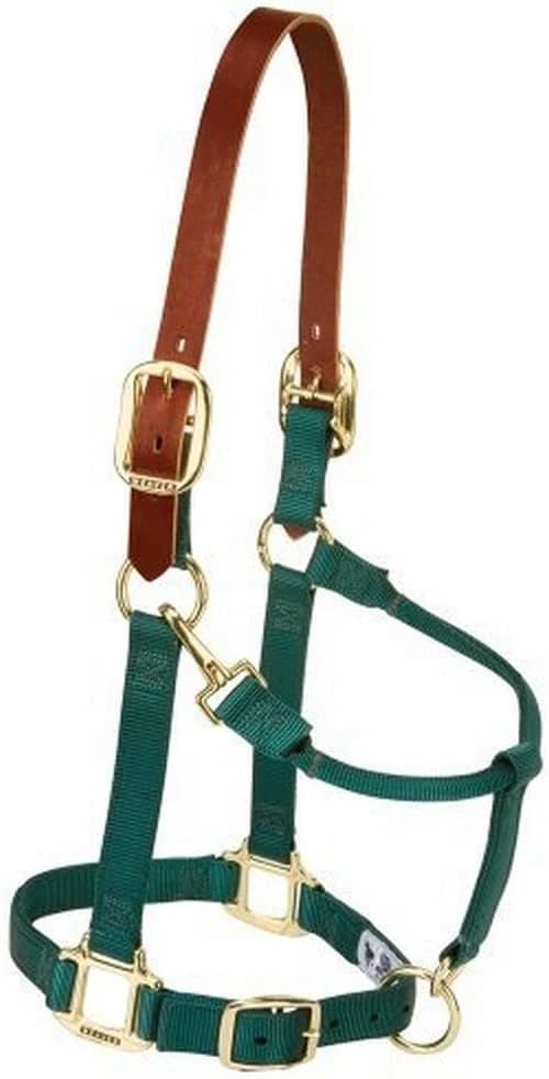 Supply Original Non-Adjustable Nylon Horse Halter – Durable Nylon