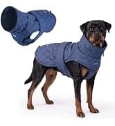 Dog Cooling Vest - Evaporative Summer Cooling — collection imagery