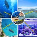 Salinity Refractometer for Seawater and Marine Fishkeeping Aquarium 0-100 PPT with Automatic Temperature